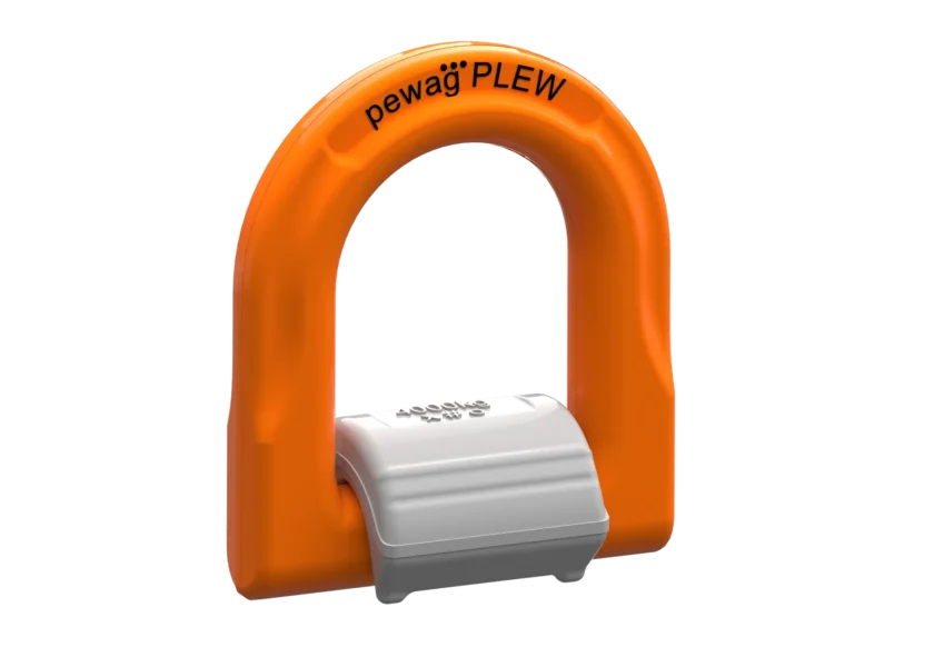 PLEW Iso Ray Trans 2A8B818A6BE9